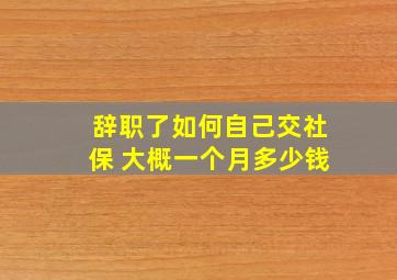 辞职了如何自己交社保 大概一个月多少钱